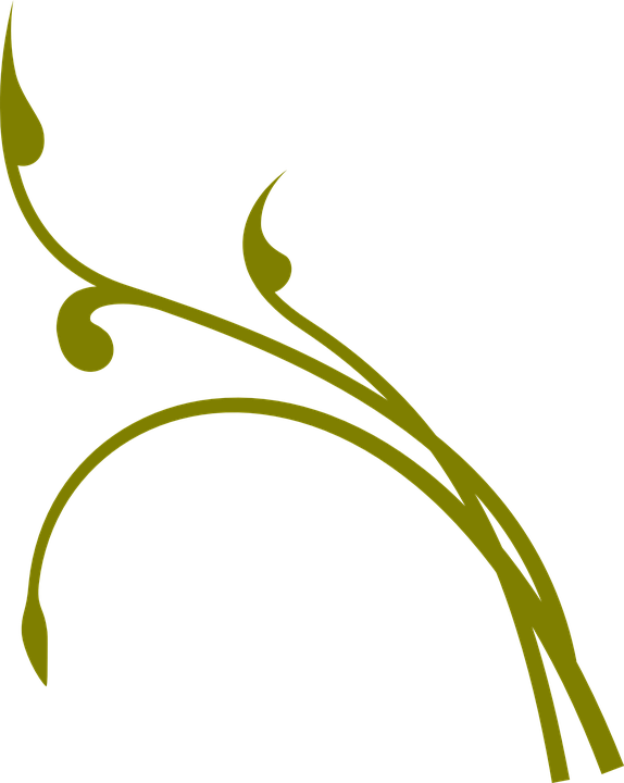 Branch Clip Art (574x720)