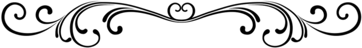 Book Now - Black Design No Background (784x208)