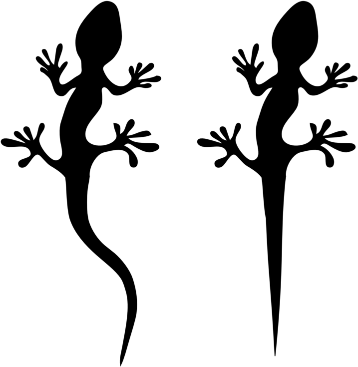Lizard Clipart - Lizard Silhouette (958x1355)