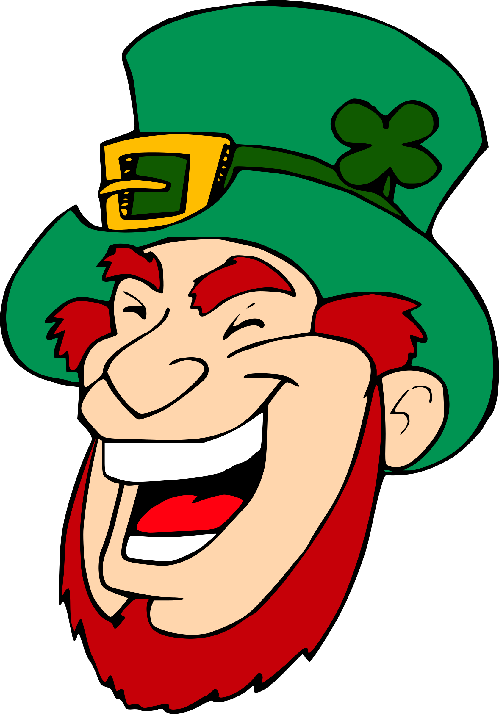 Leprechaun Face (1677x2400)