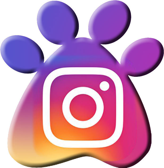 High Resolution Instagram Logo High Res (729x732)