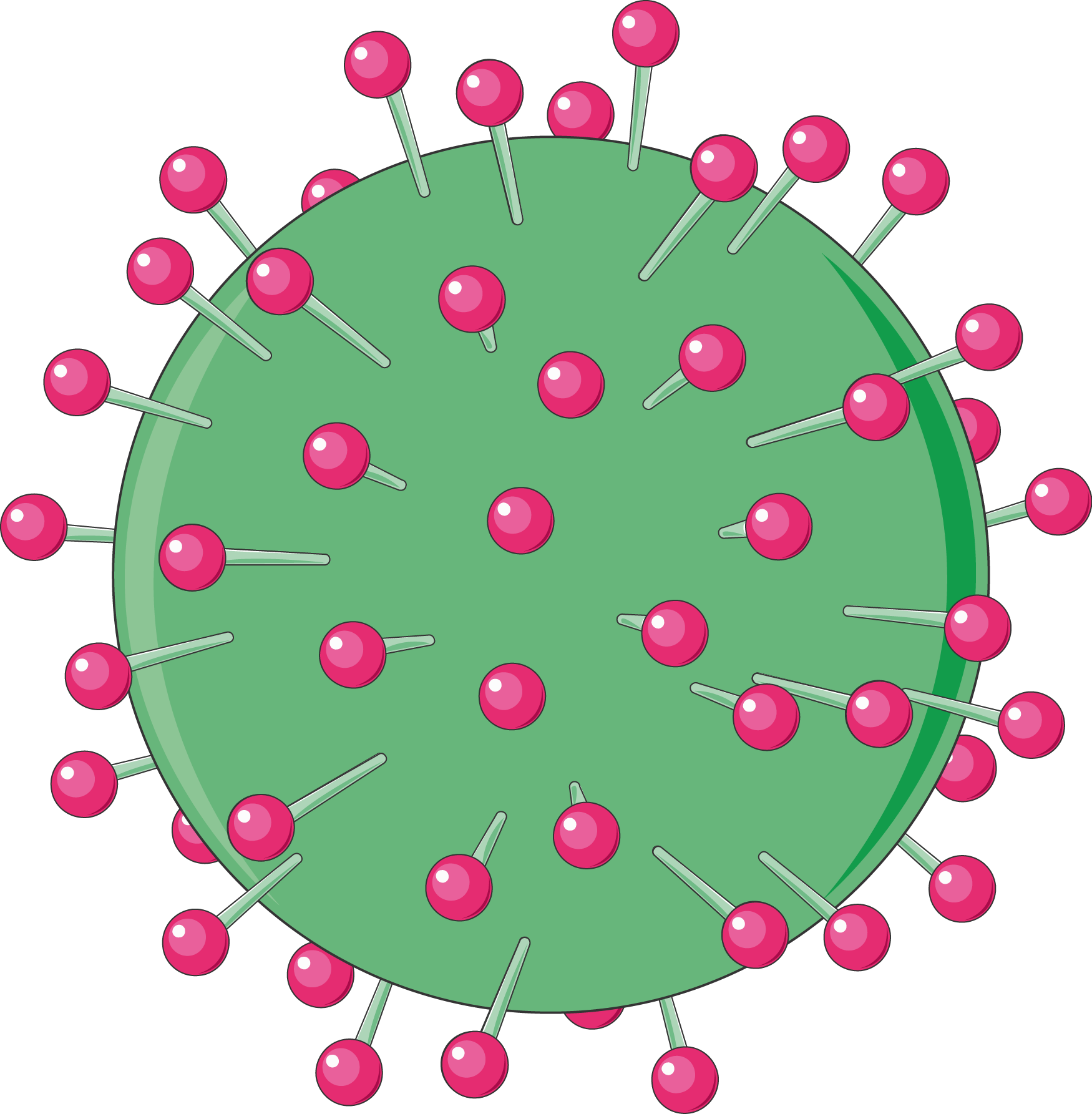 Hepatitis Virus - Banco De Imagens E Ilustrações Científicas Para Apresentações (1750x1785)