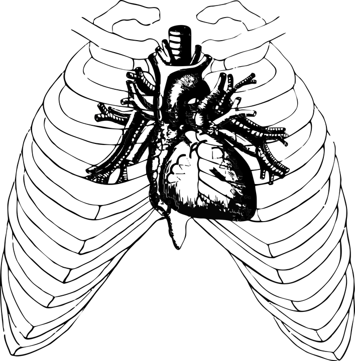 Heart (707x720)