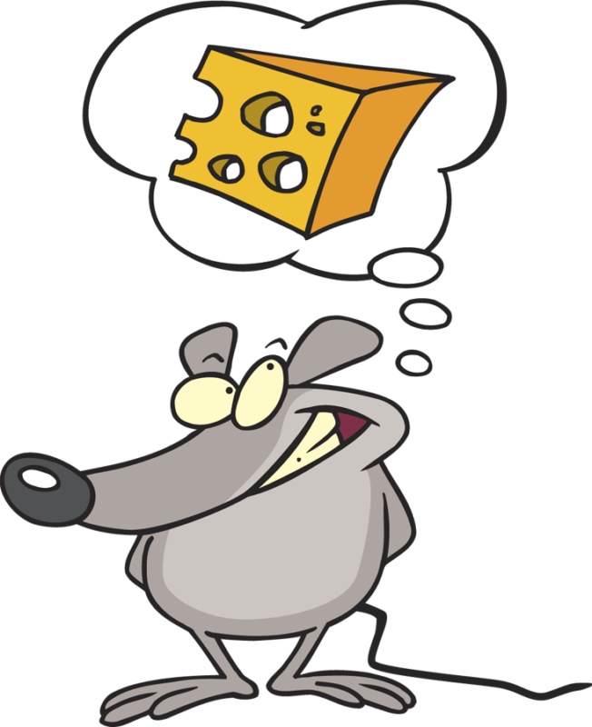 Forest View Elementary Results Realty Buzz - Cheese (652x800)