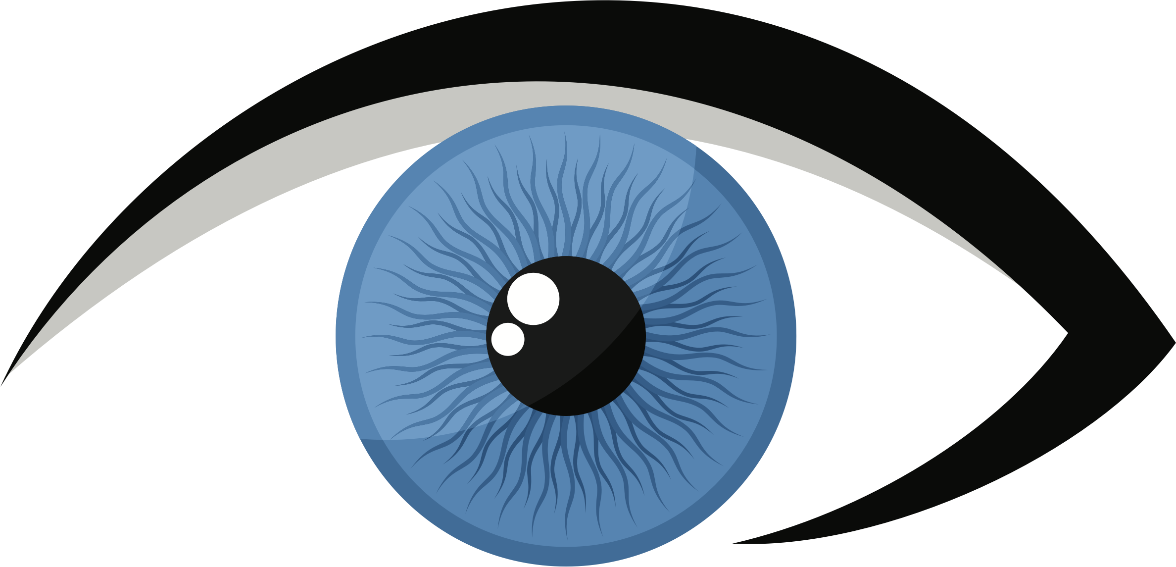 Big Image - Eye (2376x1145)