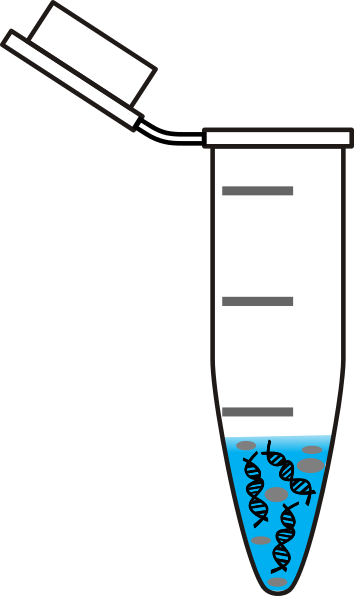 Eppendorf Tube Dna (354x596)