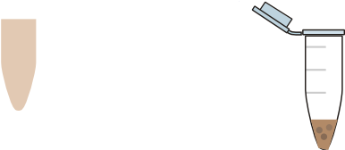 Clip Art (600x244)
