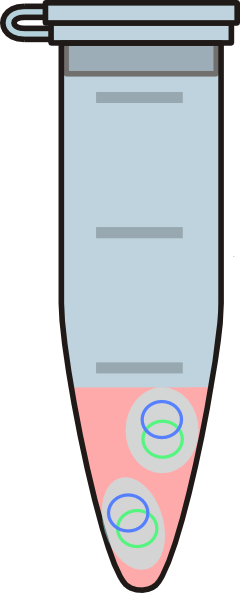 Eppendorf Tube (240x593)