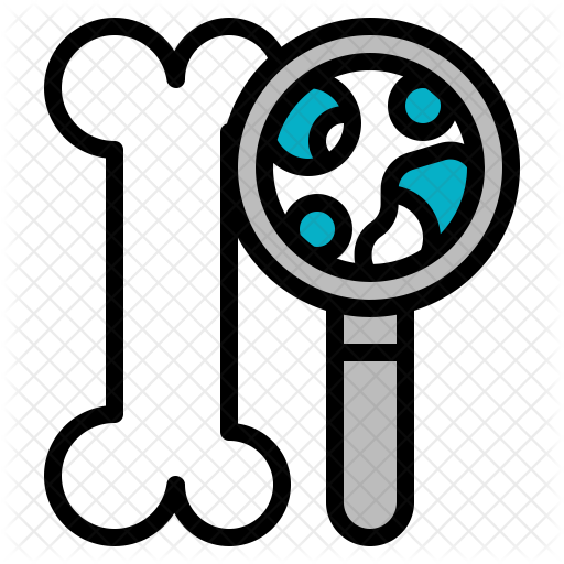 Bone Testing Icon - Osteoporosis (512x512)