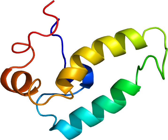 Dnajb1 (765x644)