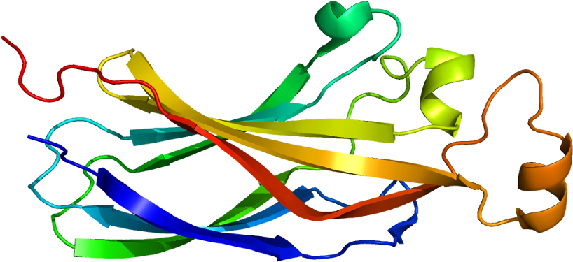 Clip Art (867x424)