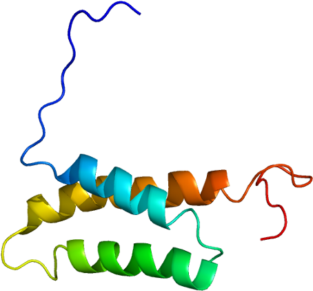 Sacsin (503x470)
