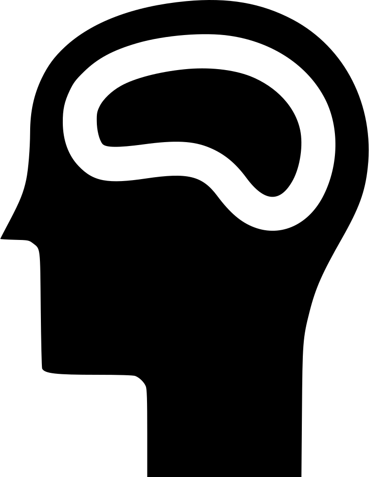 Brain Memory Study Skill Human Neurology Comments - Brain (758x980)