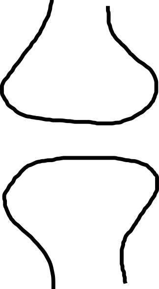 Synapse (324x590)