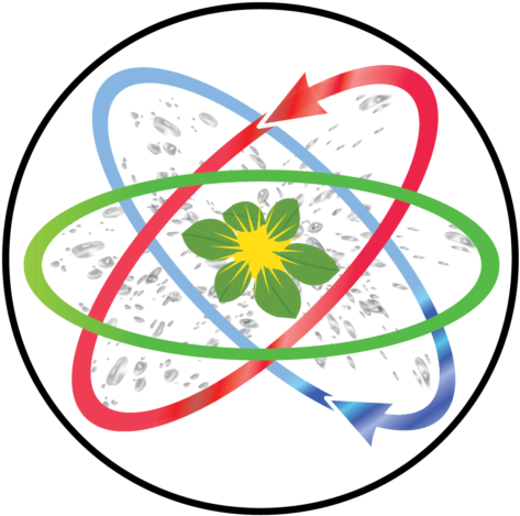 Evaluate The Wood - Circle (512x512)