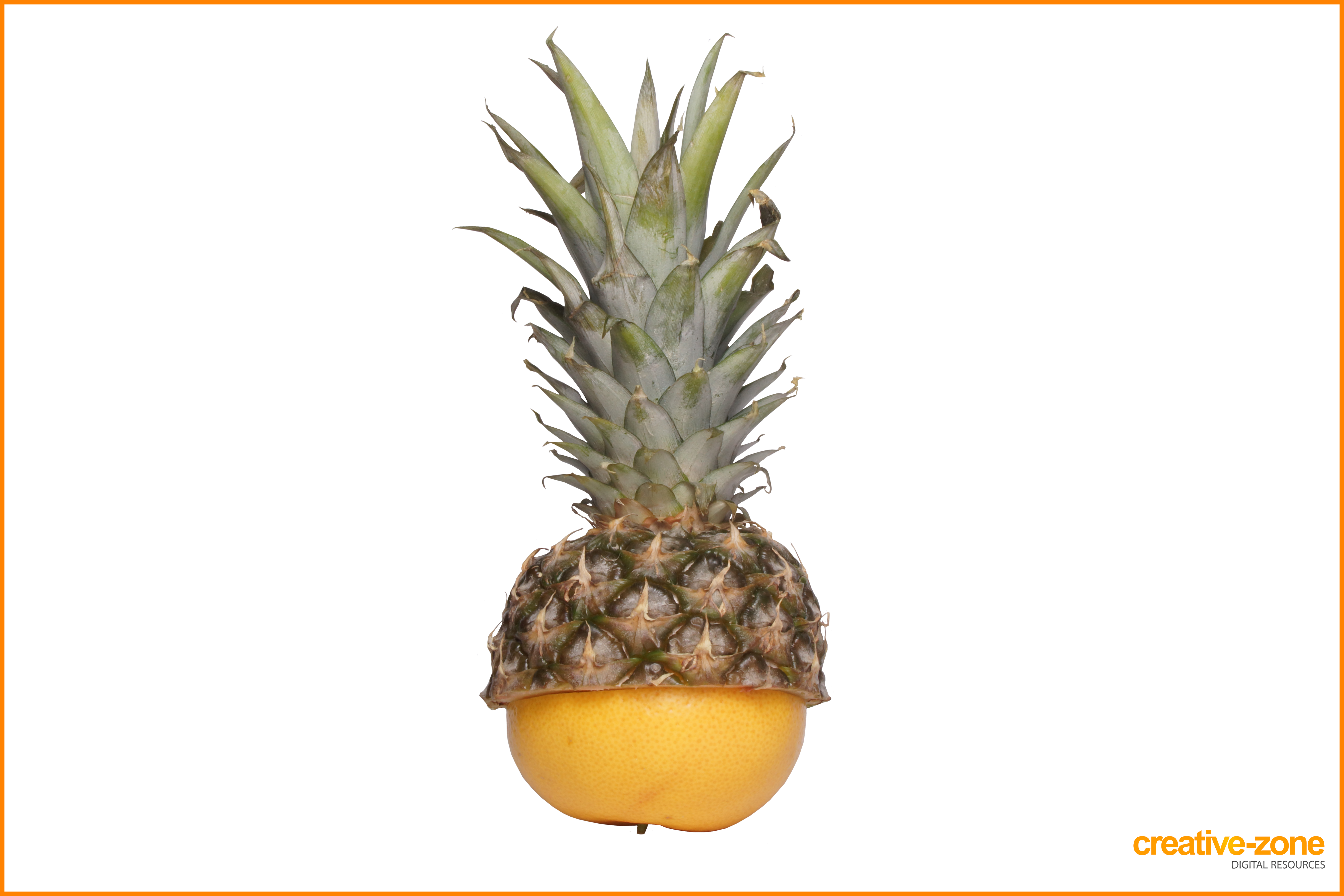 Grapefruit And Pineapple (6030x4020)