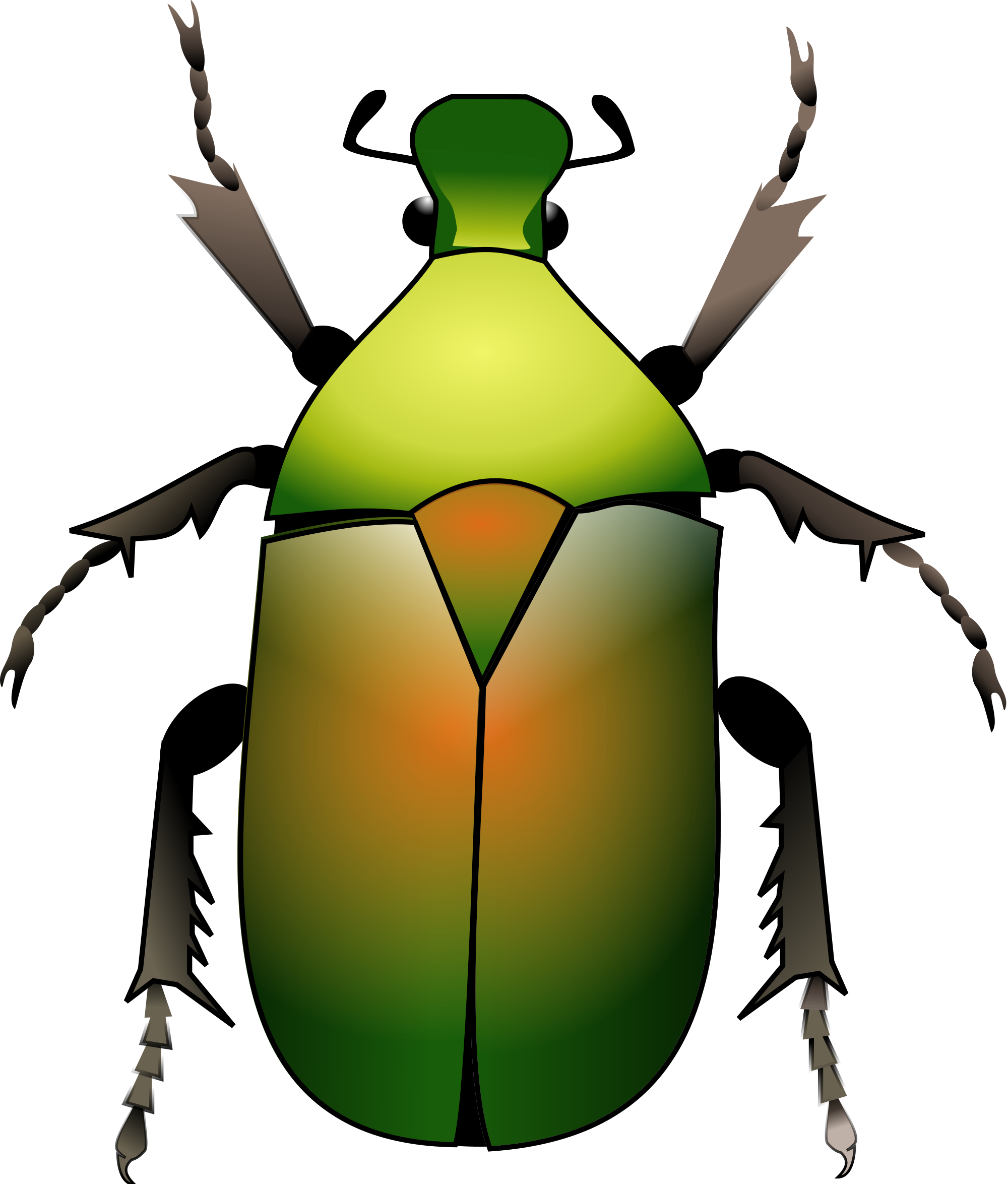 Open - Beetle Svg (2000x2349)