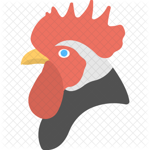 Hen Icon - Icon (512x512)