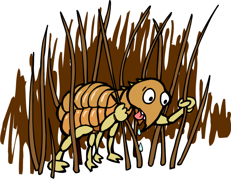 Flea - Flea (750x579)
