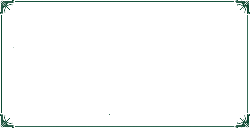 1/2 - 1/2 (1000x513)