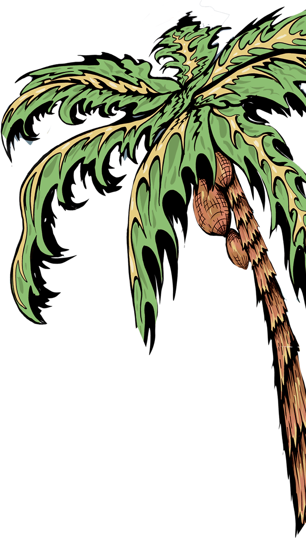 About - Attalea Speciosa (986x2100)