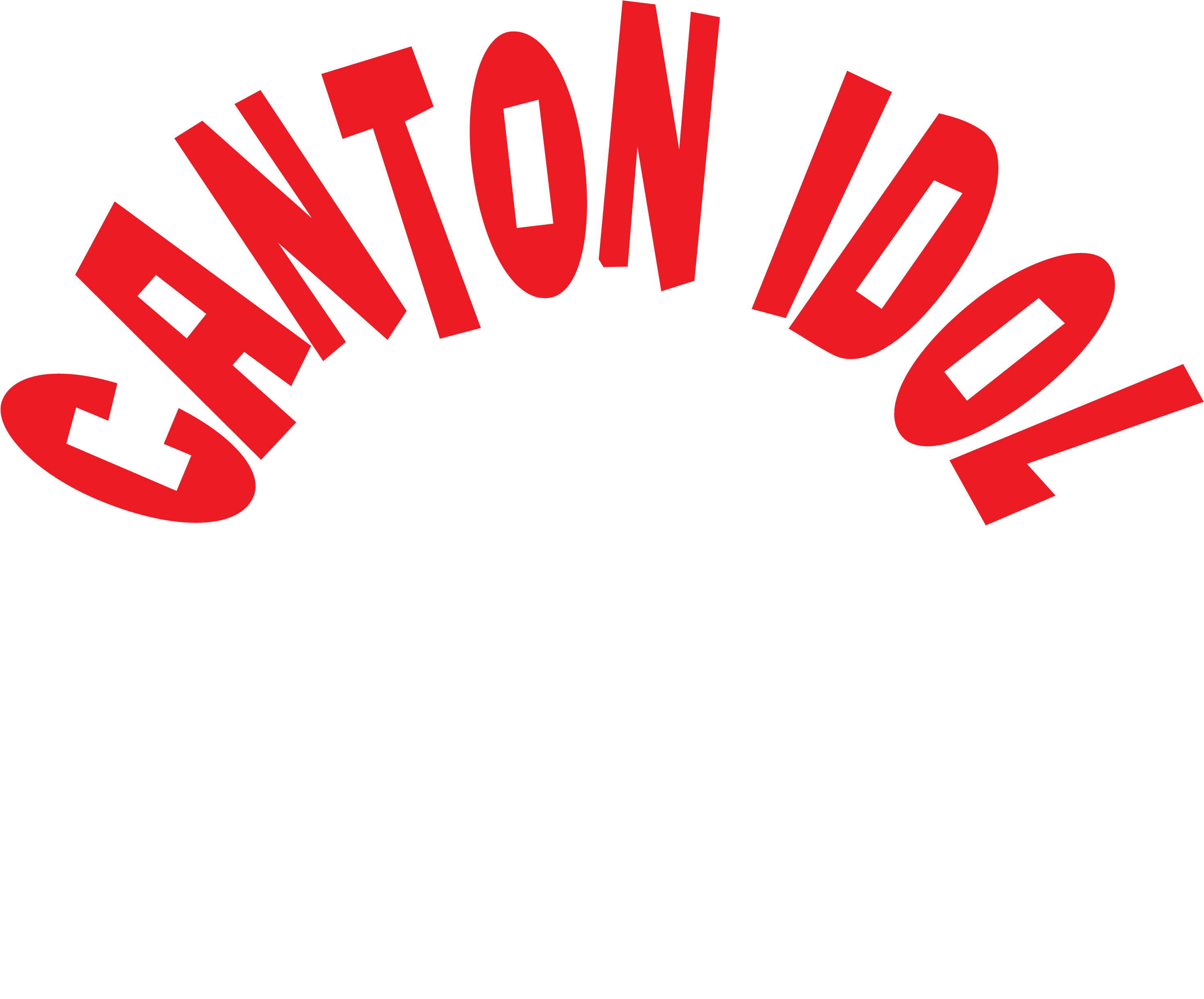 Canton Idol - Download (3087x2887)