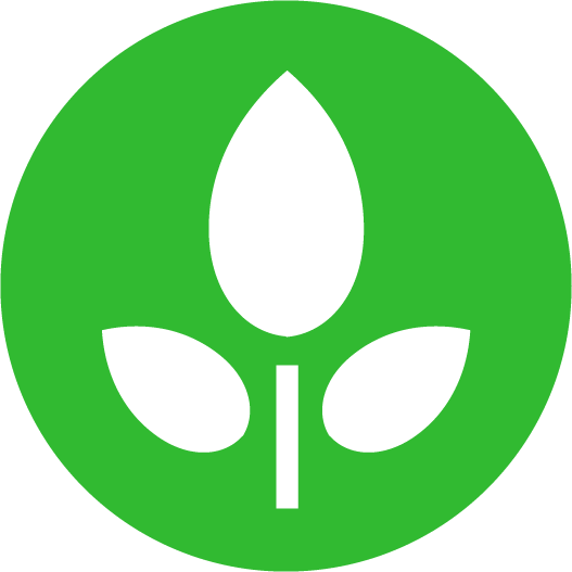 Eve Wall E Plant (527x527)
