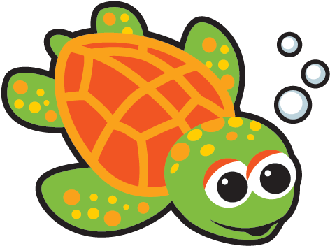 Turtle Turtle - Turtle (640x480)