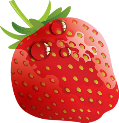 Fruit (390x400)
