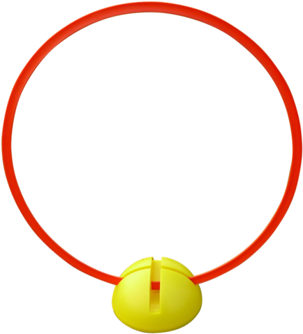 Circle (448x500)