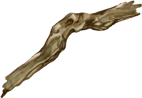 Driftwood, Driftwood - Portable Network Graphics (500x343)