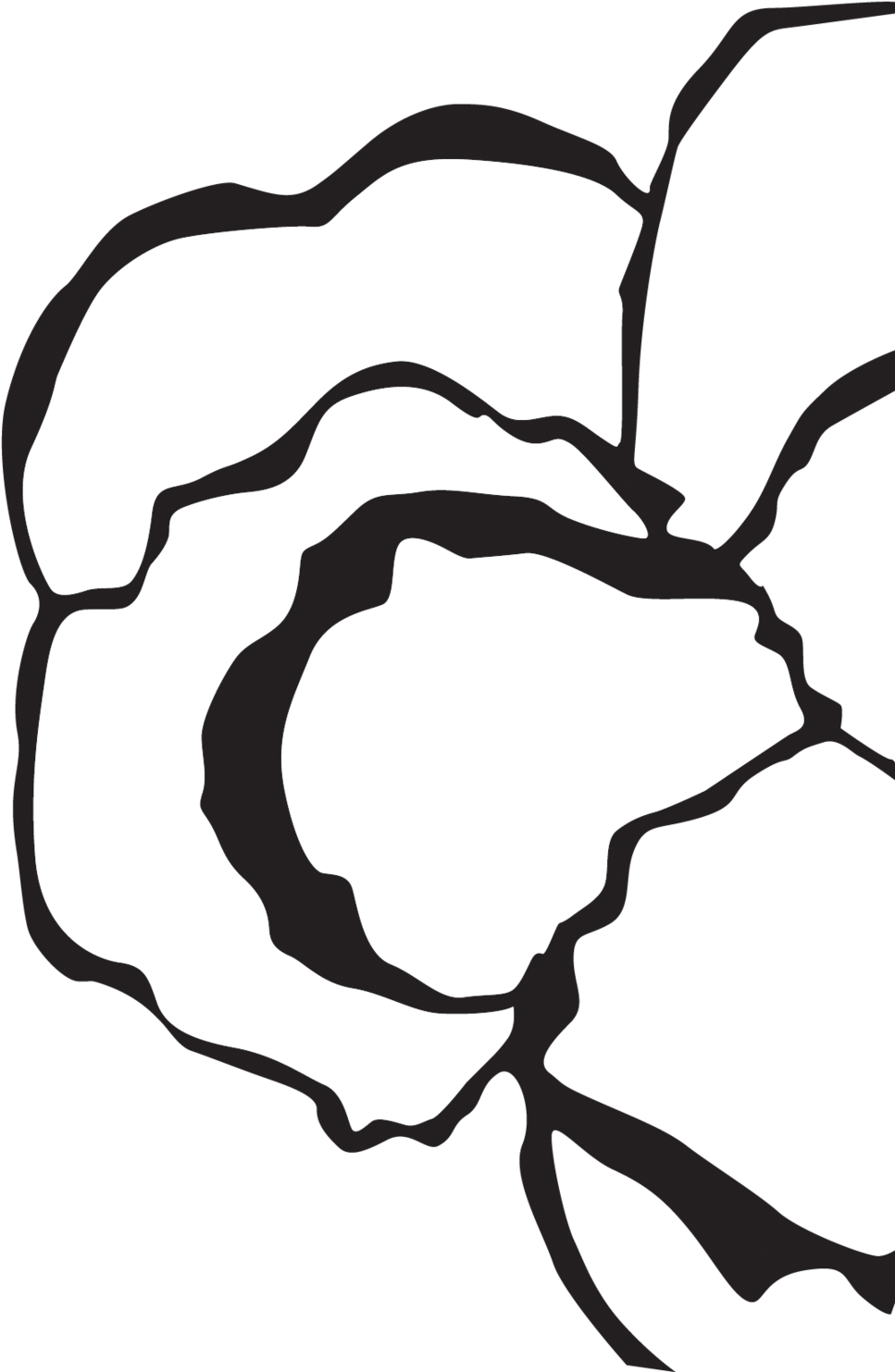 Driftwood Clip Art (1000x1484)