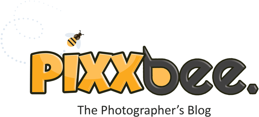 Pixxbee - Pixxbee (1000x442)