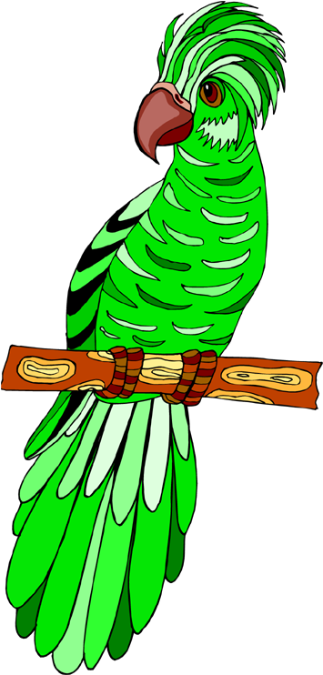 Bird - Parrot (360x750)