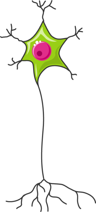 Neuron - Neuron (308x680)