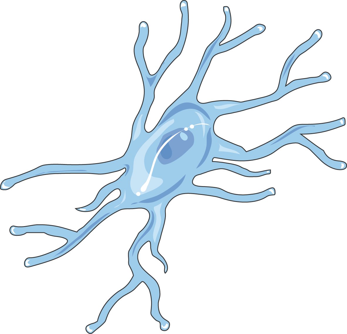 Microglia - Microglia Png (1182x1136)