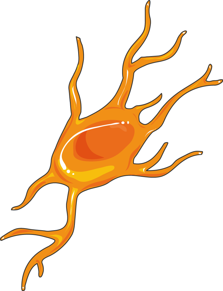 Neuroblaste - Cyclooxygenase (756x986)