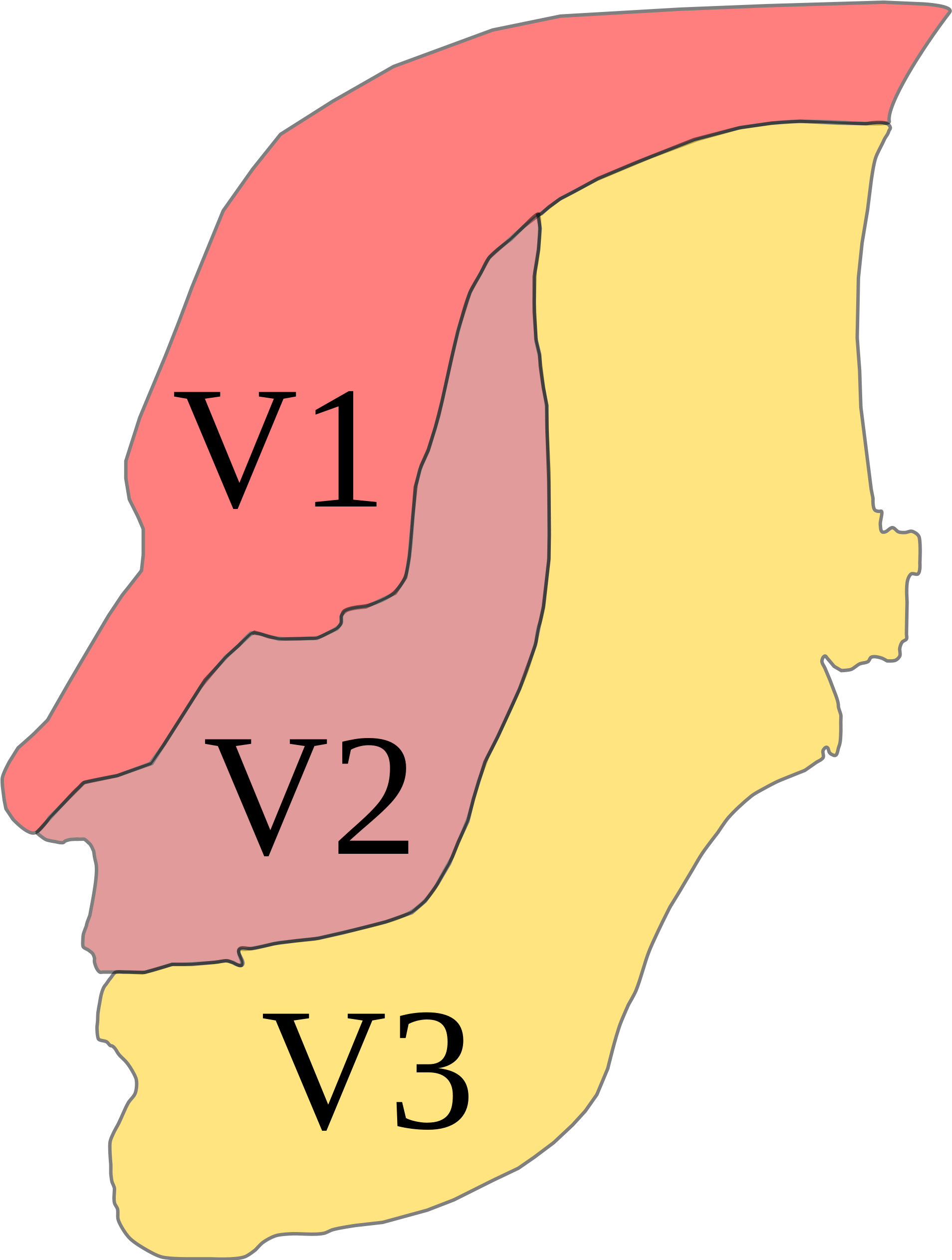 Trigeminal Nerve Distribution - Trigeminal Nerve Distribution (2000x2524)