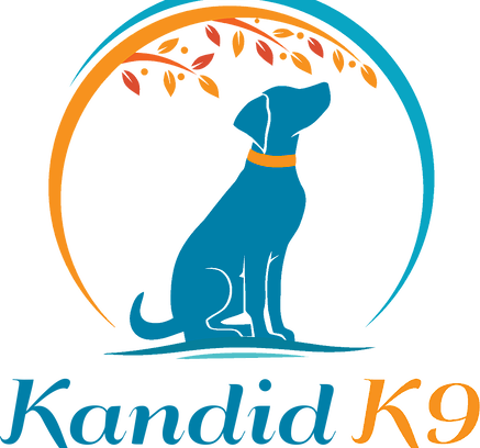 Puppy Classes - Dog Training (437x408)