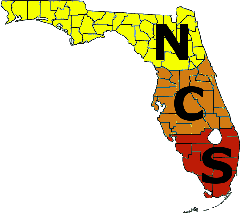 Florida N C S - Florida (500x508)