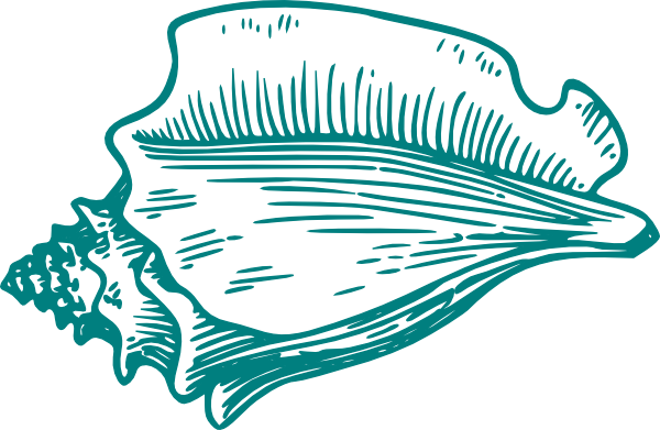 Shell Cliparts - Conch Shell Clipart (600x391)