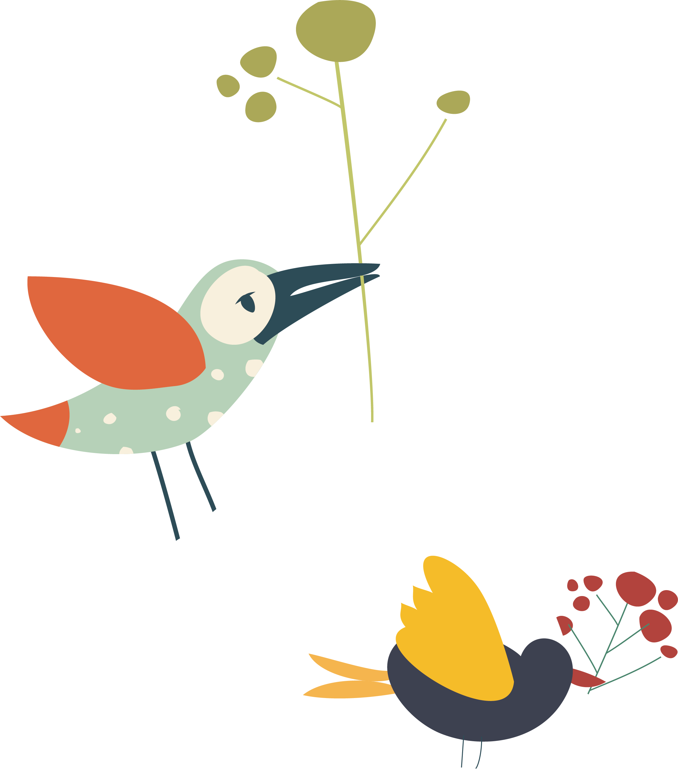 水彩小鸟 - Vector Graphics (2293x2601)