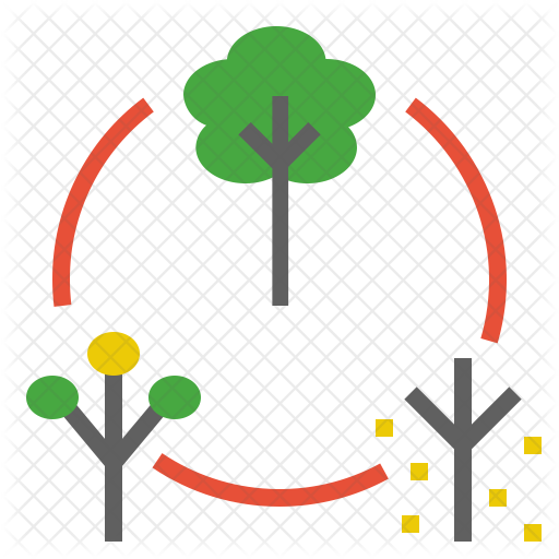 Life Cycle Icon - Icon (512x512)
