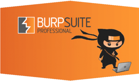 [solution] Disable The Detectportal - Burp Suite (464x290)