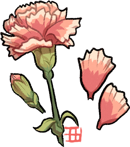 Draw A Flora By Griffsnuff - Carnation (482x509)