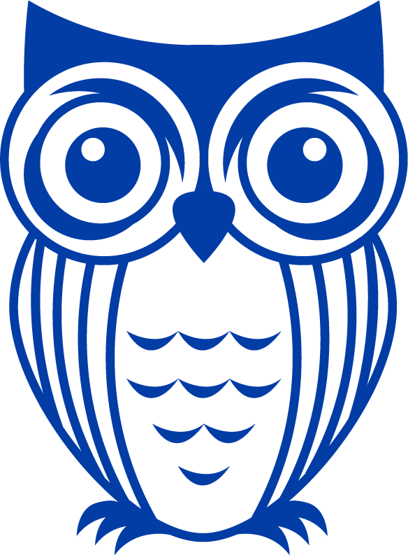 Owl Vinyl Decal (584x793)