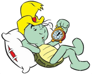 Shellman The Tortoise - Shelman Cartoon (400x400)