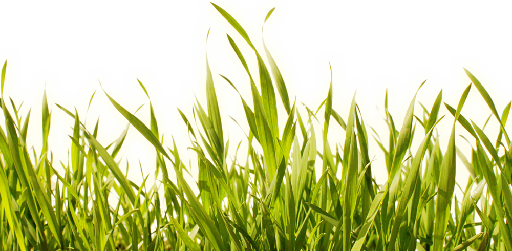 So Wird Aus Wind Strom - Einfacher Leben - Ein Praktischer Ratgeber Zur Konsumreduzierung (1000x490)