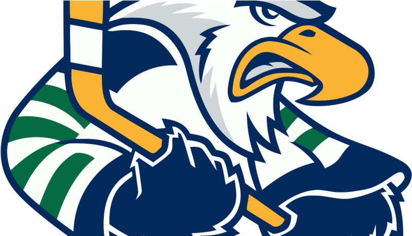 Game Day Preview - Surrey Eagles (816x459)