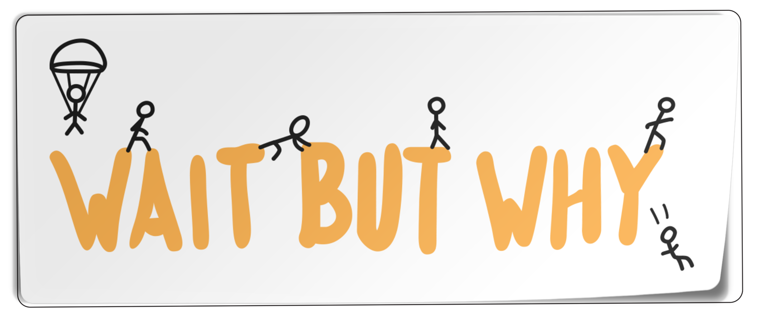 Wait But Why Bumper Sticker - Wait But (1600x1800)